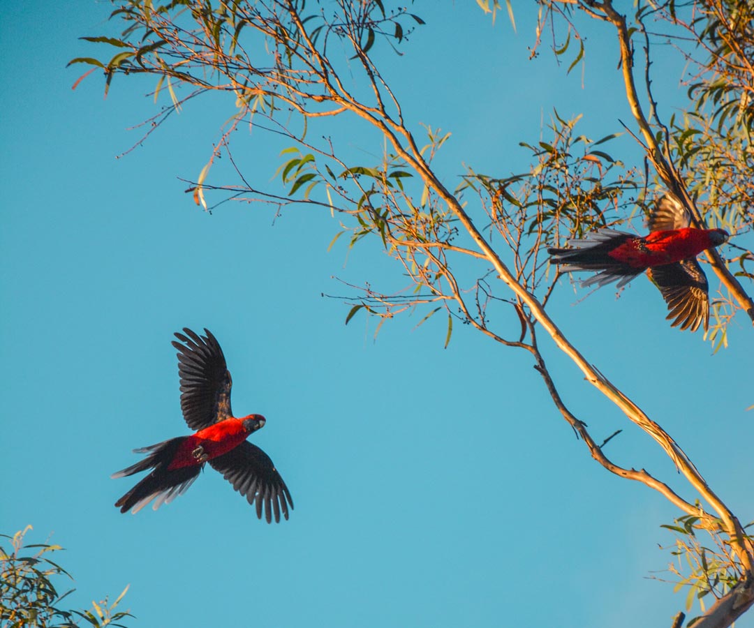 Aged care jobs in Burpengary Manor